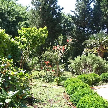 Stipe-big Garden Apartman *